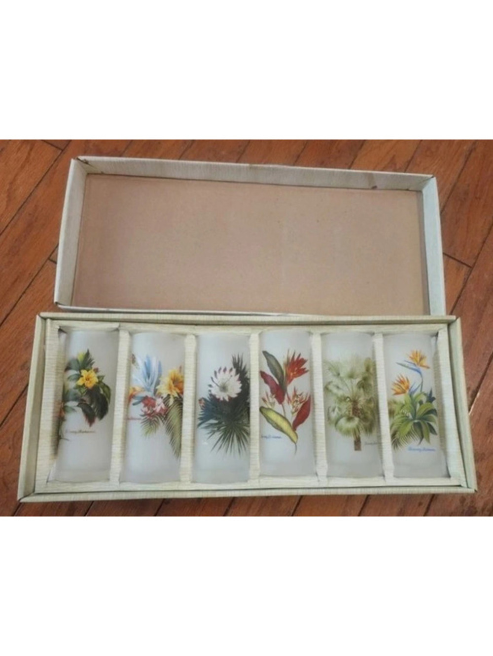 Vintage Collector's Tommy Bahama Frosted Tropical Tumblers Set of 6 (Never Used)